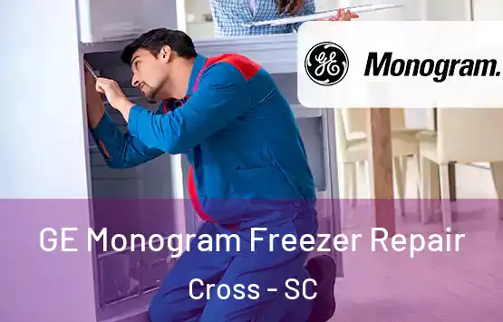  GE Monogram Freezer Repair Cross - SC