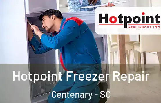  Hotpoint Freezer Repair Centenary - SC
