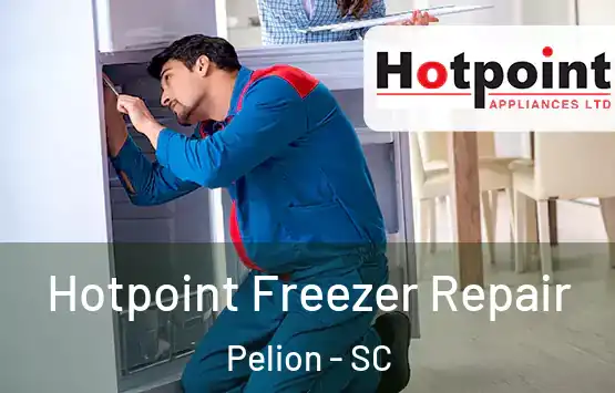  Hotpoint Freezer Repair Pelion - SC