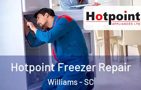  Hotpoint Freezer Repair Williams - SC
