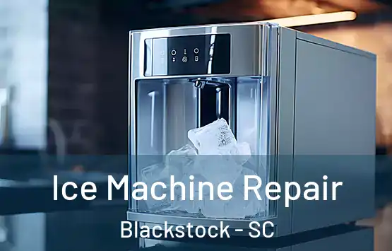  Ice Machine Repair Blackstock - SC