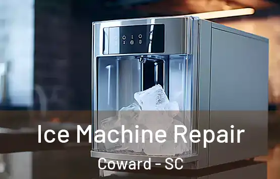  Ice Machine Repair Coward - SC