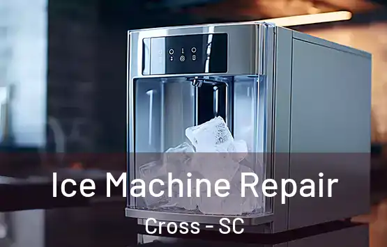  Ice Machine Repair Cross - SC