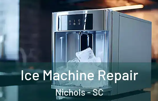  Ice Machine Repair Nichols - SC