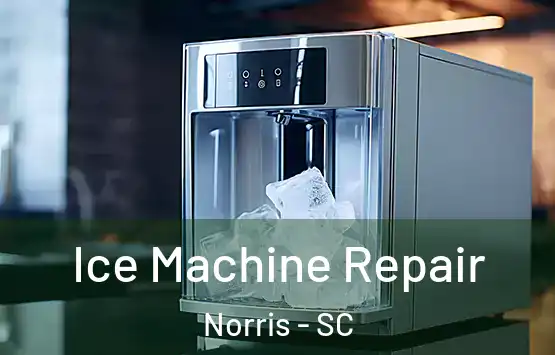  Ice Machine Repair Norris - SC