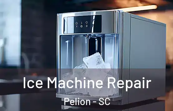  Ice Machine Repair Pelion - SC