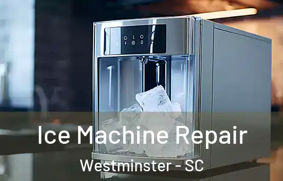  Ice Machine Repair Westminster - SC