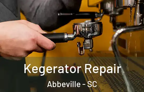  Kegerator Repair Abbeville - SC