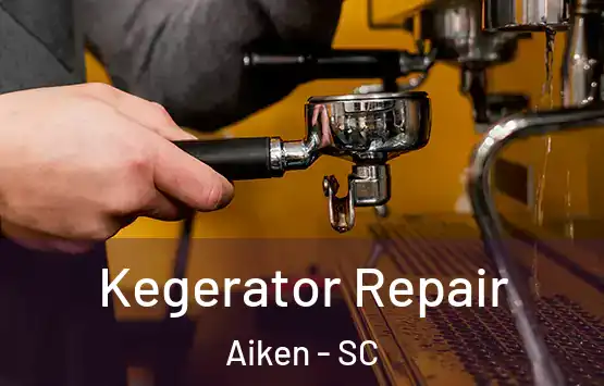  Kegerator Repair Aiken - SC
