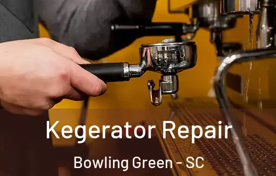  Kegerator Repair Bowling Green - SC