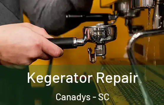  Kegerator Repair Canadys - SC