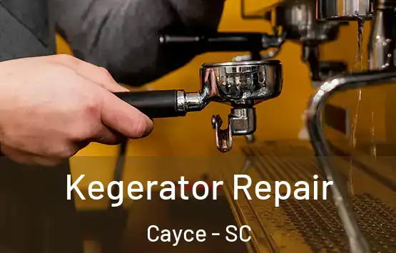  Kegerator Repair Cayce - SC