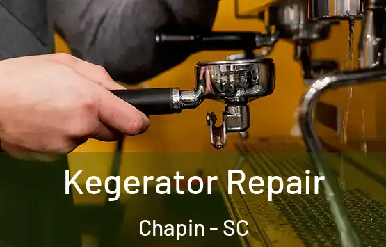  Kegerator Repair Chapin - SC