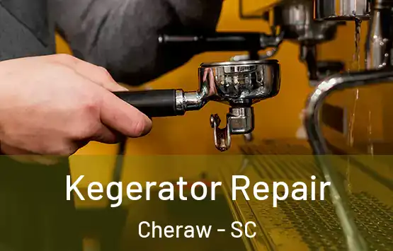  Kegerator Repair Cheraw - SC