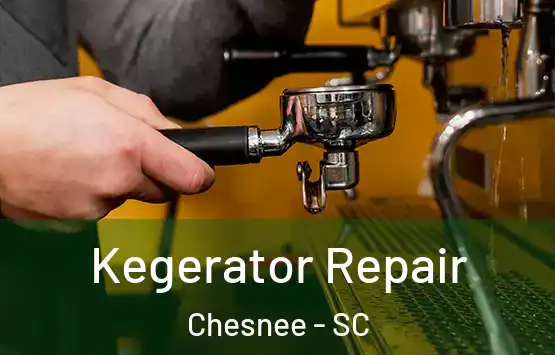  Kegerator Repair Chesnee - SC