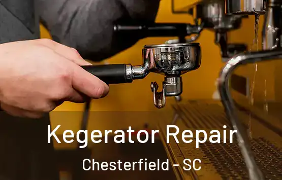 Kegerator Repair Chesterfield - SC