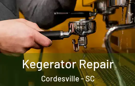  Kegerator Repair Cordesville - SC