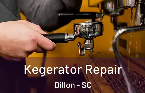  Kegerator Repair Dillon - SC
