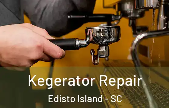  Kegerator Repair Edisto Island - SC