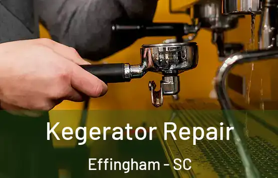  Kegerator Repair Effingham - SC