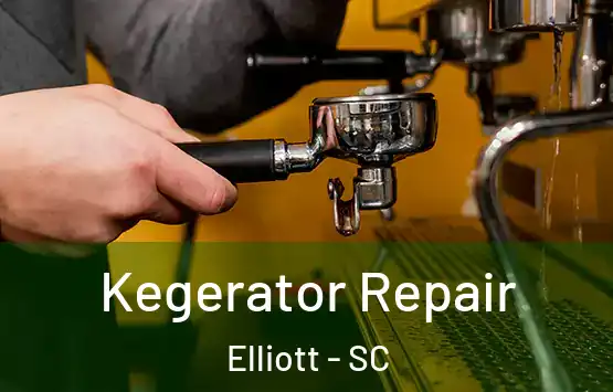  Kegerator Repair Elliott - SC