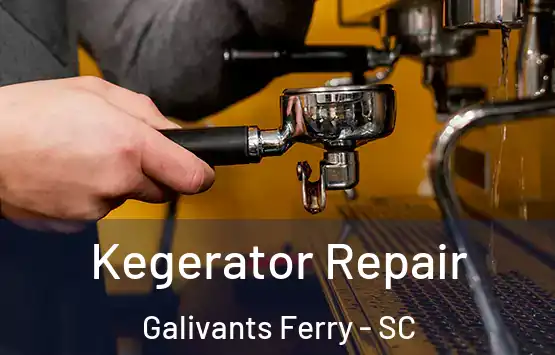  Kegerator Repair Galivants Ferry - SC