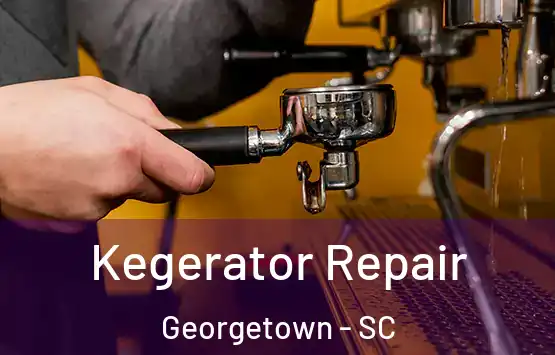  Kegerator Repair Georgetown - SC