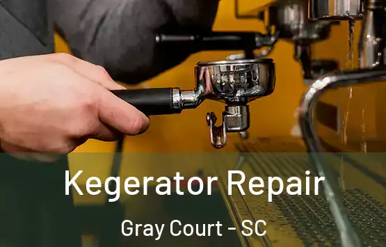  Kegerator Repair Gray Court - SC