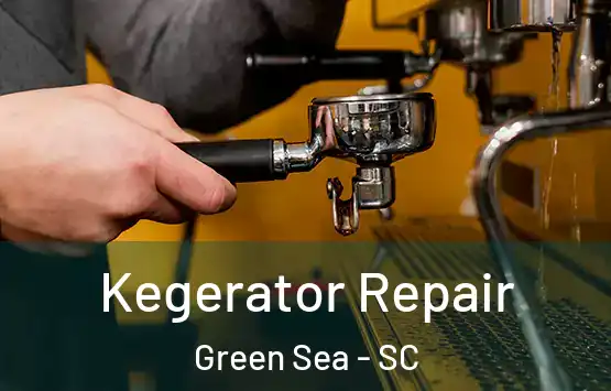  Kegerator Repair Green Sea - SC