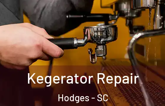  Kegerator Repair Hodges - SC