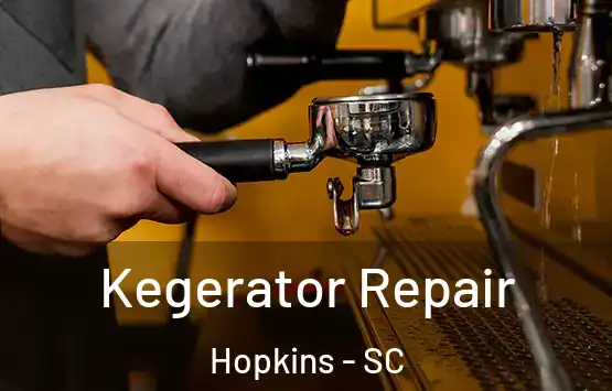  Kegerator Repair Hopkins - SC