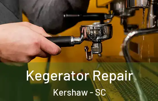  Kegerator Repair Kershaw - SC