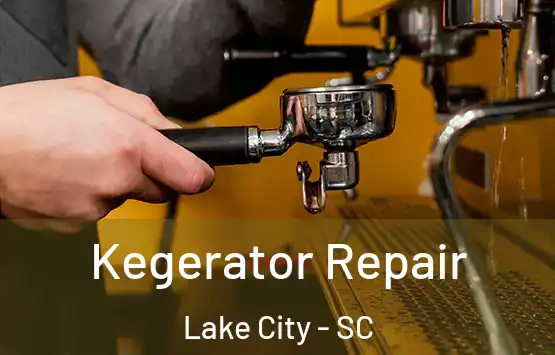  Kegerator Repair Lake City - SC