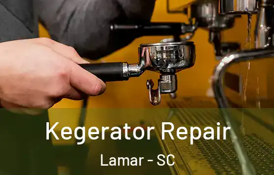  Kegerator Repair Lamar - SC