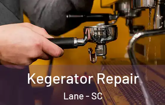  Kegerator Repair Lane - SC
