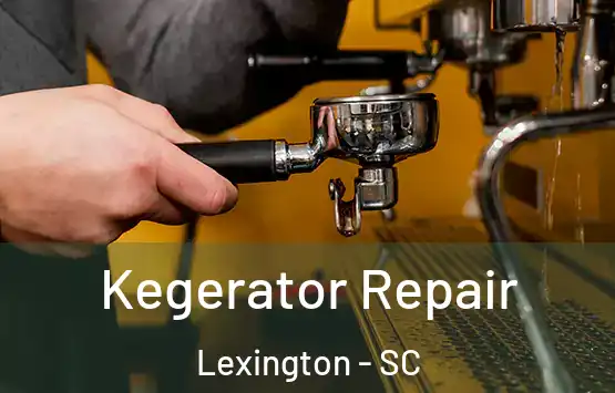  Kegerator Repair Lexington - SC