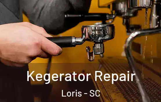  Kegerator Repair Loris - SC