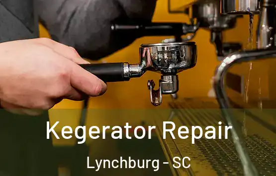  Kegerator Repair Lynchburg - SC