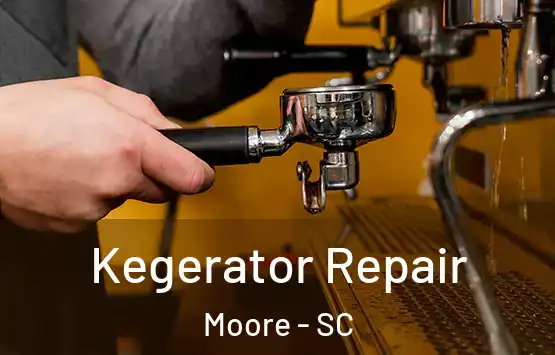  Kegerator Repair Moore - SC