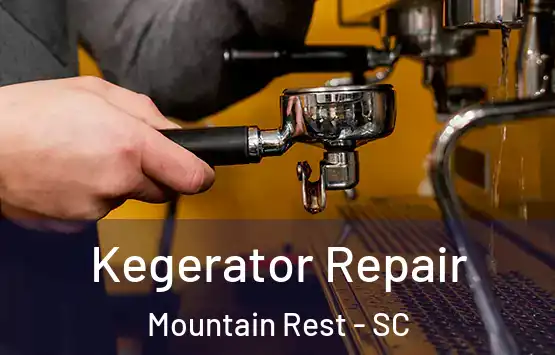  Kegerator Repair Mountain Rest - SC