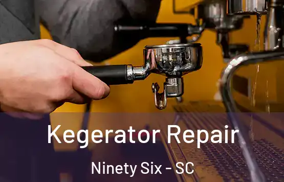  Kegerator Repair Ninety Six - SC