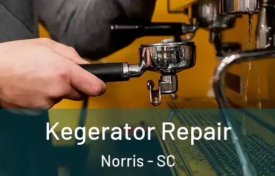  Kegerator Repair Norris - SC