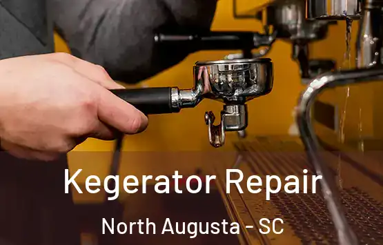  Kegerator Repair North Augusta - SC