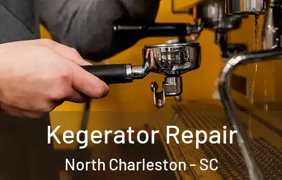  Kegerator Repair North Charleston - SC
