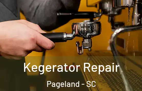  Kegerator Repair Pageland - SC