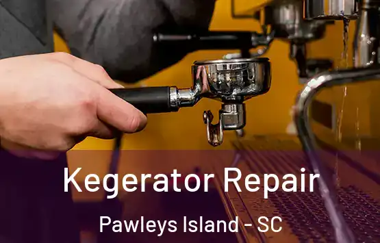  Kegerator Repair Pawleys Island - SC