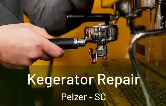  Kegerator Repair Pelzer - SC