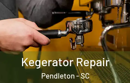  Kegerator Repair Pendleton - SC