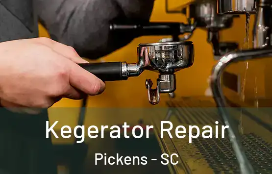  Kegerator Repair Pickens - SC