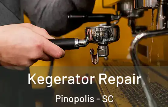  Kegerator Repair Pinopolis - SC